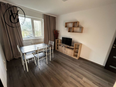 Apartament 2 camere - Brotacei - 