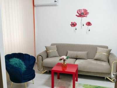 Apartament 2 camere -zona Domenii  -Ion Mihalache