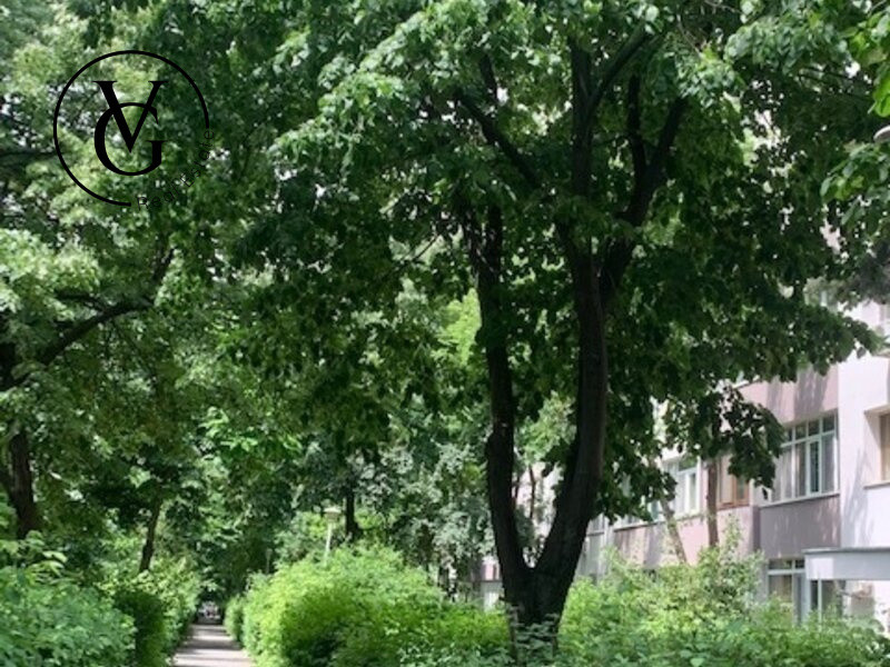 Apartament 3 camere - Zona Drumul Taberei