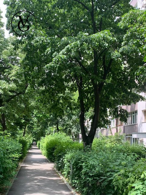 Apartament 3 camere - Zona Drumul Taberei