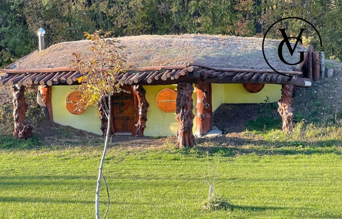 Domeniu complet utilat 4,9 ha, cu iazuri și Vila premium - Grădiștea