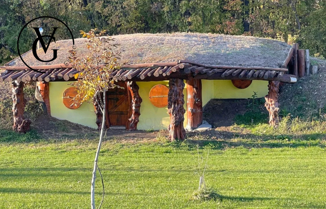 Domeniu complet utilat 4,9 ha, cu iazuri și Vila premium - Grădiștea