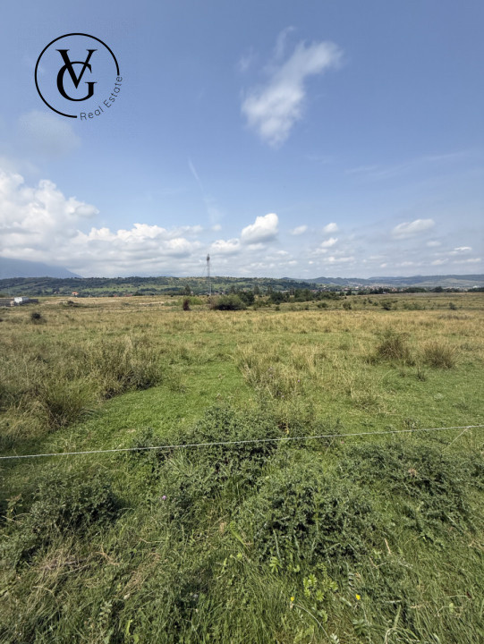 Teren intravilan 500 mp - Tohanul Nou 