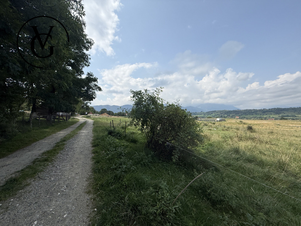 Teren intravilan 500 mp - Tohanul Nou 