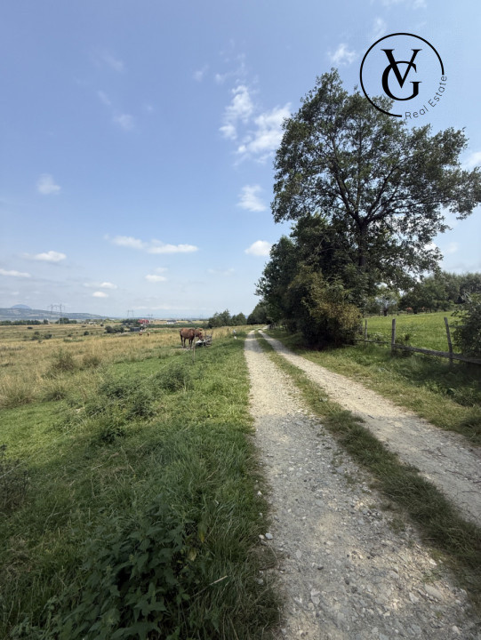 Teren intravilan 500 mp - Tohanul Nou 