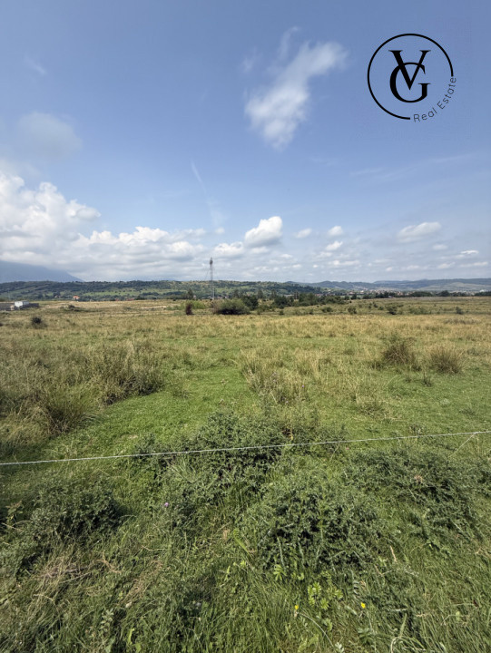 Teren intravilan 500 mp - Tohanul Nou 