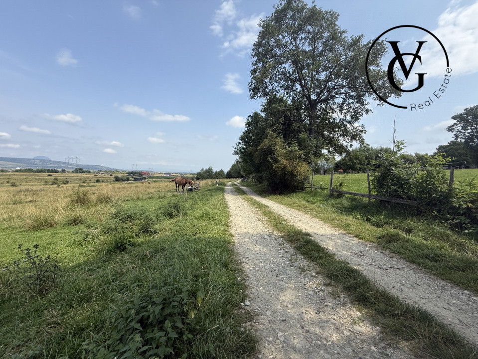 Teren intravilan 500 mp - Tohanul Nou 