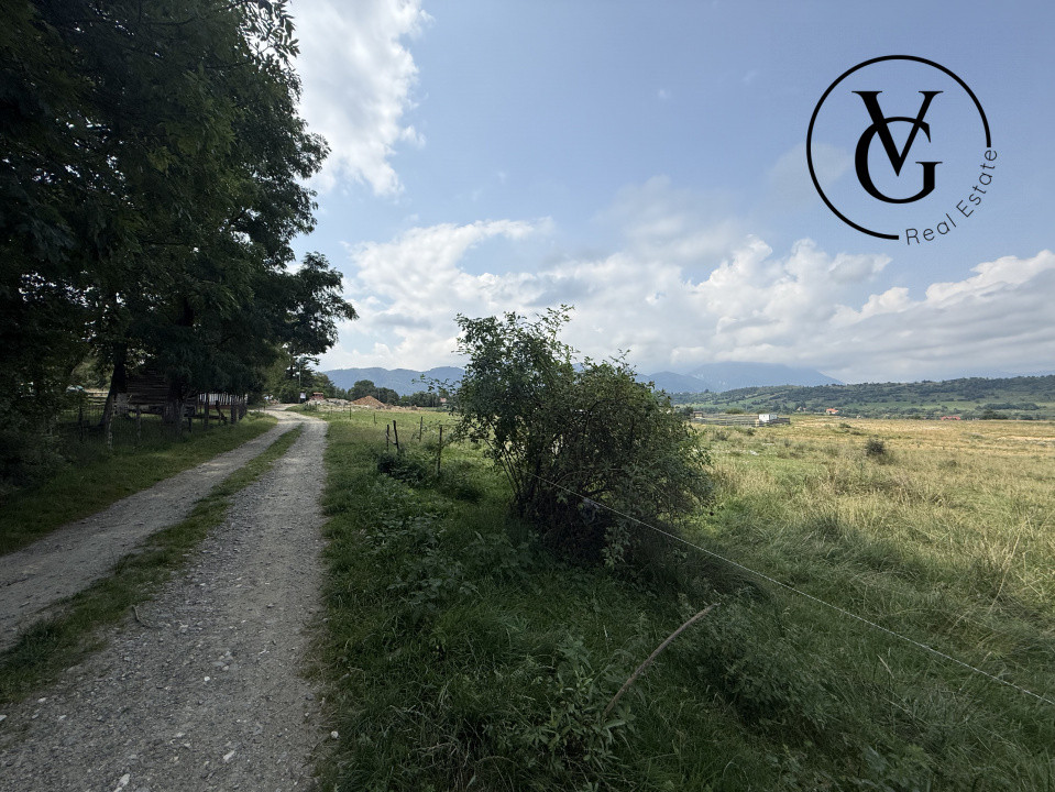 Teren intravilan 500 mp - Tohanul Nou 