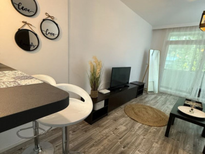 Apartament 2 camere - Piata Victoriei