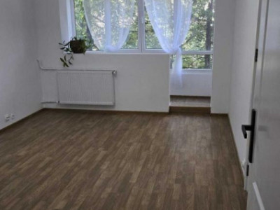 Apartament 2 camere renovat - Drumul Taberei