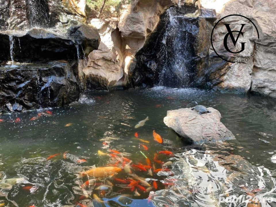 Studio | Herastrau North Lake 