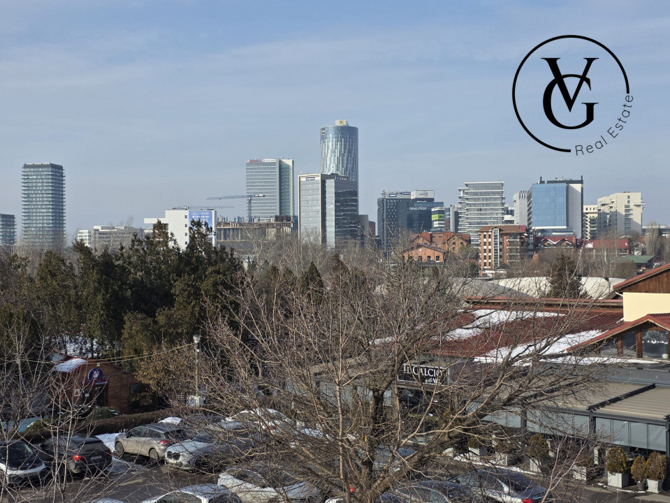 Duplex ideal investitie - Floreasca - 502 mp 