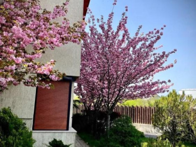 Vila Duplex 5 Camere Sisesti
