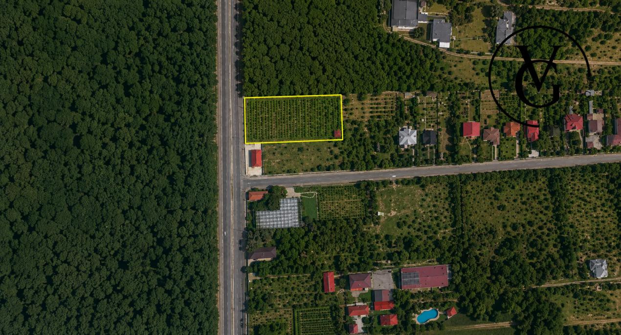 Teren intravilan cu acces direct DN1 | Saftica - Balotesti
