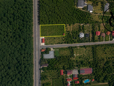 Teren intravilan cu acces direct DN1 | Saftica - Balotesti